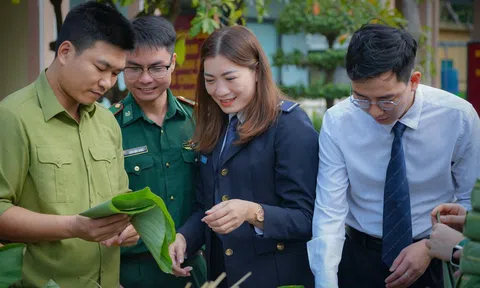 Đà Nẵng: Thi gói bánh chưng “Xuân Biên phòng - Nghĩa tình đồng đội”