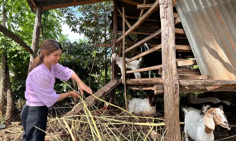 Những “bông hoa” điển hình trong phong trào “Phụ nữ tích cực học tập, lao động sáng tạo, xây dựng gia đình hạnh phúc”