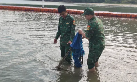 Sôi nổi ra quân hưởng ứng ngày “Chủ nhật xanh”