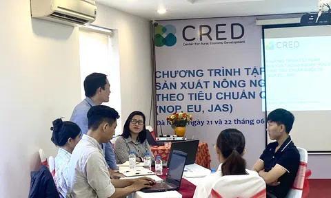 Đà Nẵng: Tập huấn sản xuất nông nghiệp hữu cơ theo tiêu chuẩn quốc tế