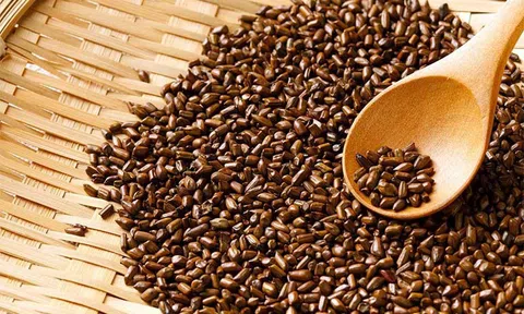 Thảo quyết minh: Bài thuốc dân gian trị đau mắt đỏ