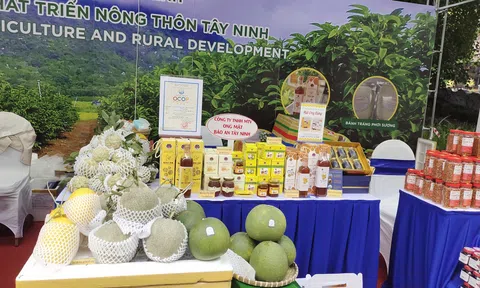 Nhiều sản phẩm OCOP hiện diện trong "Ngày Tây Ninh tại Hà Nội"
