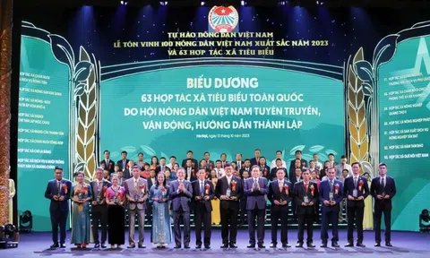 Tôn vinh 100 nông dân xuất sắc và 63 hợp tác xã tiêu biểu toàn quốc