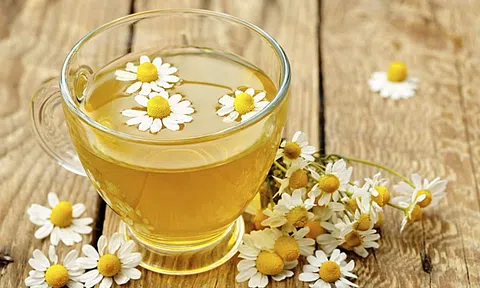 Tăng cường sức khỏe nhờ trà hoa cúc