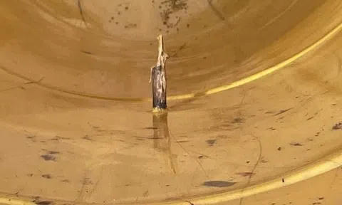 Cảnh báo nguy hiểm khi cho trẻ nhỏ chơi cầu trượt