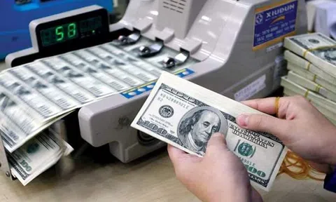 Kho bạc Nhà nước liên tục mua vào ngoại tệ giữa lúc tỷ giá tăng cao