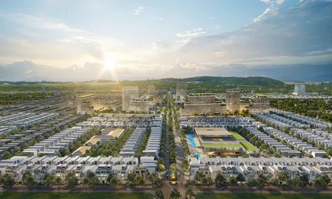 Kita Invest báo lãi 29 tỷ đồng năm 2024, nợ phải trả gấp 11,4 lần vốn chủ sở hữu