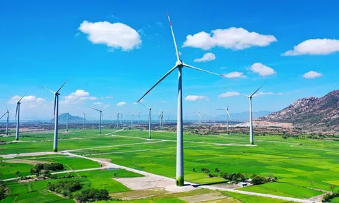 Tài chính xanh – Xu hướng toàn cầu và cơ hội cho Việt Nam