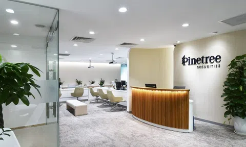 Chứng khoán Pinetree mở hạn mức tín dụng gần 850 tỷ đồng tại BIDV và ACB