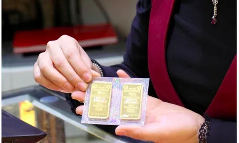 Giá vàng miếng tiếp tục giảm mạnh