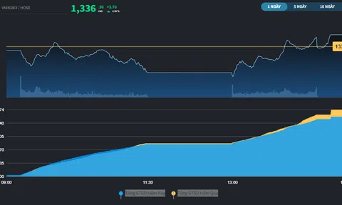 Bất động sản và Năng lượng tăng trần bất chấp rung lắc thị trường