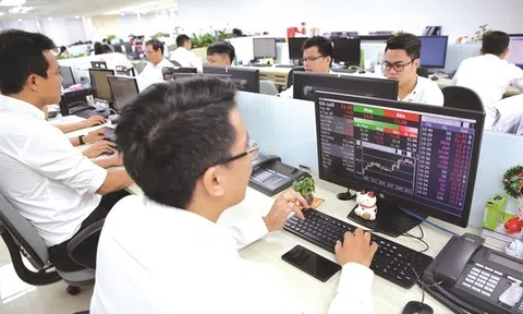 Thị trường chứng khoán leo đỉnh 3 năm, kỳ vọng còn nhưng cần tỉnh táo