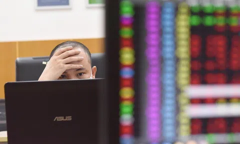 Chứng khoán Sen Vàng bị truy thu và phạt thuế hơn 1,4 tỷ đồng, không được chuyển lỗ 12,4 tỷ đồng