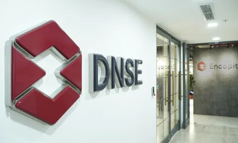 DNSE tiếp tục mở rộng thị phần phái sinh, tiến gần mốc 18%