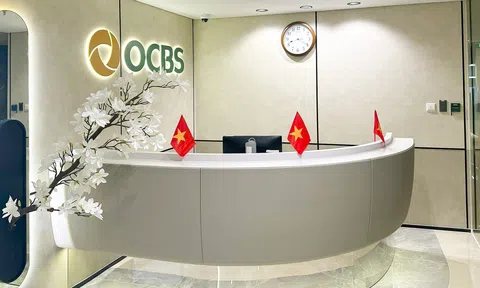 Nữ lãnh đạo rời ghế Phó Tổng Giám đốc OCBS sau 4 tháng được bổ nhiệm