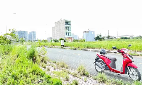 Gắn mã định danh cho từng thửa đất