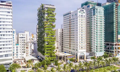 Khách sạn 4 sao của Công ty ChicLand bị xử phạt gần 600 triệu đồng