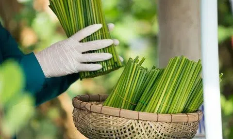 Sản xuất xanh rất cần nhưng doanh nghiệp vẫn loay hoay chờ cơ chế hỗ trợ