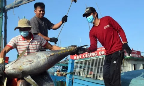 Đối mặt nhiều thách thức, Thủy sản chưa thể "vượt ngưỡng" xuất khẩu