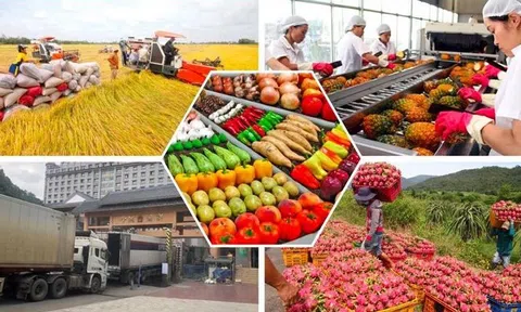 Nông nghiệp tăng trưởng cao kỷ lục trong 10 năm và những kỳ vọng mới