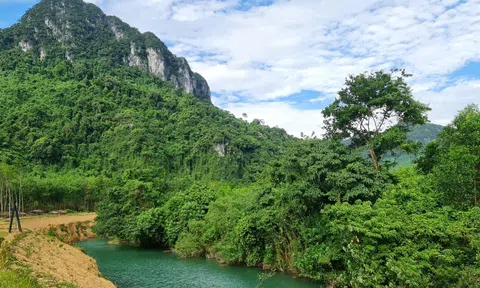 Lần đầu tiên Việt Nam thu về gần 1.250 tỷ đồng từ bán tín chỉ carbon