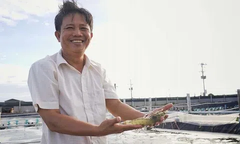 Nông dân nuôi tôm thu 90 tỷ đồng đề xuất mục tiêu xuất khẩu đạt 10 tỷ USD