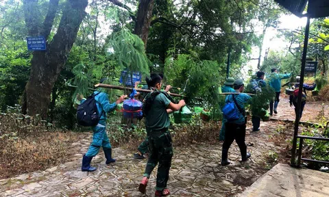 Giữ lại màu xanh cho loài cây quý hiếm trên đỉnh non thiêng Yên Tử