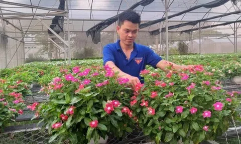 Thức dậy vùng đất phèn nhờ sáng kiến ứng dụng kỹ thuật công nghệ cao