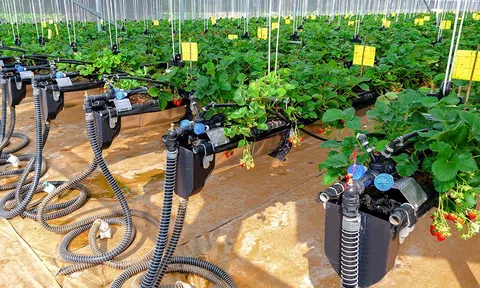 Từng bước hoàn thiện thể chế số tạo động lực cho sự nghiệp chuyển đổi số