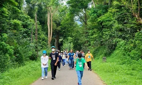 'Bức tường xanh' rừng đặc dụng mở ra triển vọng phát triển du lịch
