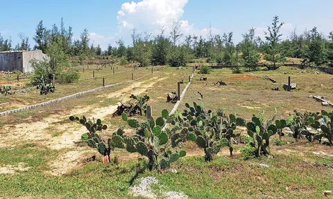 Các hình thức xử phạt khi tự ý chuyển mục đích sử dụng đất