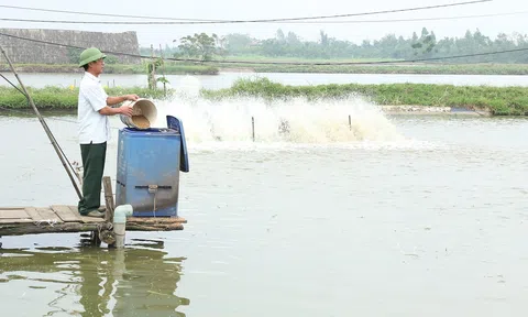Kinh tế tuần hoàn giúp nông nghiệp xanh hơn nông sản tiến xa hơn