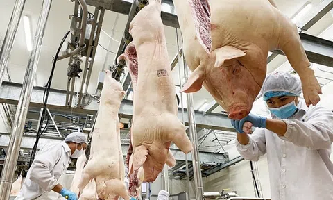 Nâng cao năng lực chế biến, ngành Chăn nuôi kỳ vọng xuất khẩu 1 - 1,5 tỷ USD vào năm 2025