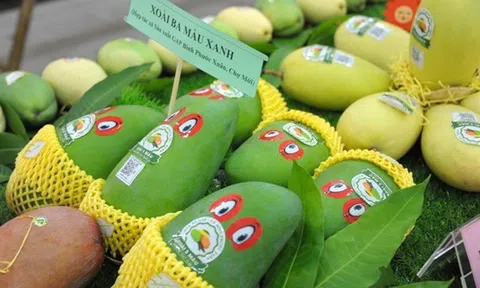 ‘Đón sóng’ hợp tác nông sản Việt kỳ vọng tăng tốc xuất khẩu thị trường Mỹ