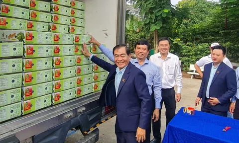 "Nhấn nút" xuất khẩu lô xoài tượng da xanh đầu tiên sang thị trường Úc và Hoa Kỳ