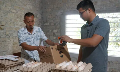 Bỏ công việc thành phố, về quê nuôi gà tìm ra bí quyết thu 60 triệu mỗi tháng