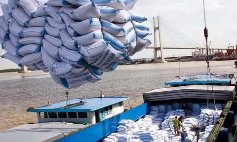 Giá gạo thế giới bất ngờ giảm, nhận diện những thị trường tiềm năng