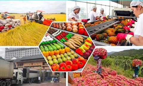 Tiếp tục 'vượt cơn gió ngược' cần 'kích hoạt' tư duy quản trị số, điều hành số trong nông nghiệp
