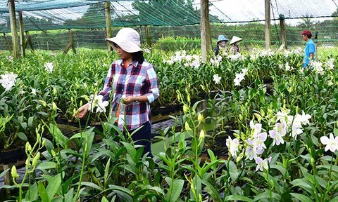 Tìm giải pháp xây dựng TP.HCM trở thành trung tâm nông nghiệp công nghệ cao