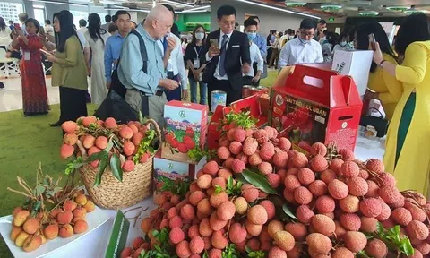 Xây dựng thương hiệu gắn với hình ảnh quốc gia tạo vị thế trên thị trường quốc tế