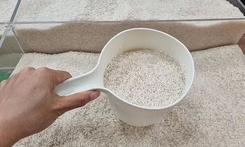 Lập 'kỳ tích' xuất khẩu, Việt Nam vẫn chi gần 900 triệu USD nhập khẩu gạo