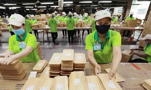 Gỗ xuất khẩu đón sóng phục hồi cần 'chuyển mình' đáp ứng các tiêu chuẩn mới