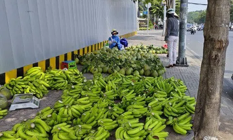 Chuối xuất khẩu 'tắc' đường biên bán tràn lan trên vỉa hè