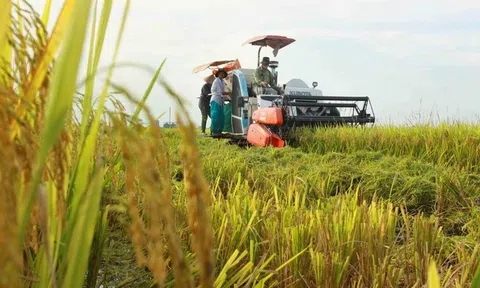 Nông nghiệp tăng trưởng xanh quan trọng nhất là tổ chức thực hiện với quy trình tiên tiến