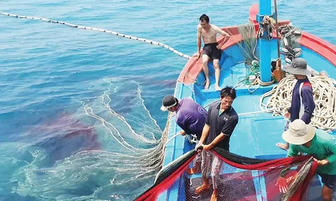 Việt Nam đề nghị EU sớm phê chuẩn EVIPA, gỡ thẻ vàng đối với hải sản xuất khẩu