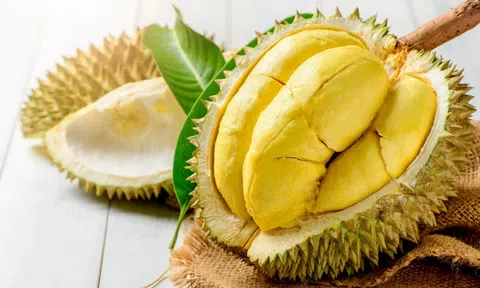 Vì sao EU tăng cường mức độ kiểm soát nhập khẩu sầu riêng từ Việt Nam?