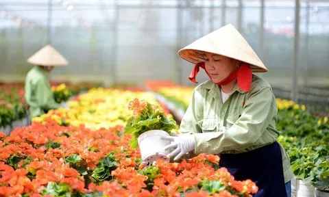 Thủ tướng chỉ đạo thực hiện các giải pháp hỗ trợ nông dân, phát triển nông nghiệp