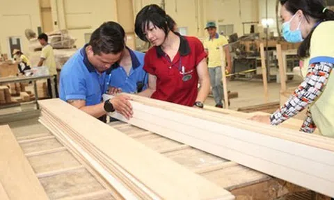 Ngành gỗ đẩy mạnh doanh số xuất khẩu gắn với tăng trưởng xanh