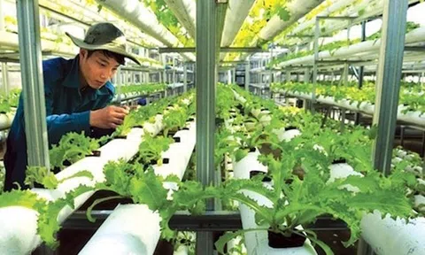 Kinh tế tuần hoàn tối ưu giá trị sản xuất nông nghiệp