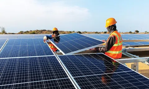 Phát triển xanh, chuyển đổi năng lượng, giảm phát thải là xu hướng không thể đảo ngược